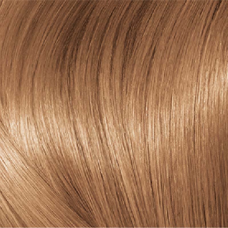 Excellenceduo 02Swatch 73